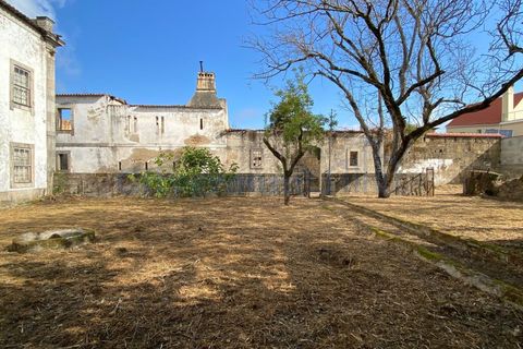 Villa i Tabua, Coimbra, Tabua - € 1.750.000 | Ref: 2012 - foto 18