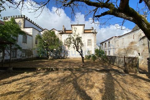 Villa i Tabua, Coimbra, Tabua - € 1.750.000 | Ref: 2012 - foto 19