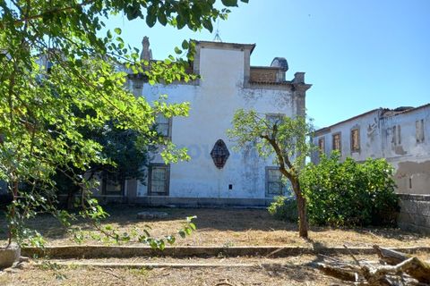 Villa i Tabua, Coimbra, Tabua - € 1.750.000 | Ref: 2012 - foto 20