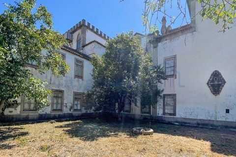 Villa i Tabua, Coimbra, Tabua - € 1.750.000 | Ref: 2012 - foto 22