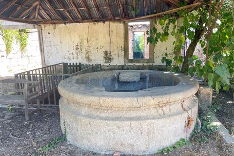 Villa i Tabua, Coimbra, Tabua - € 1.750.000 | Ref: 2012 - foto 23
