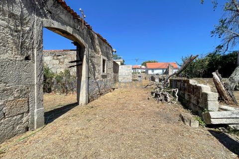 Villa i Tabua, Coimbra, Tabua - € 1.750.000 | Ref: 2012 - foto 28