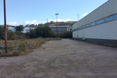 Erhvervsejendom i Aves, Porto, Aves - € 6.950.000 | Ref: 1089 - foto 17