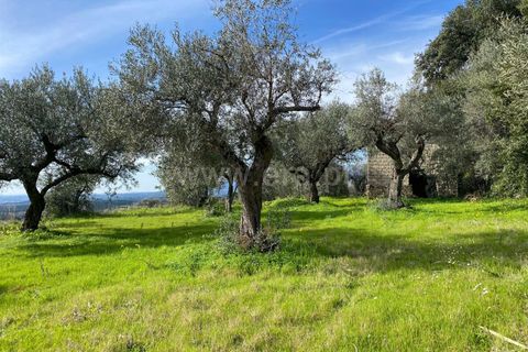 Landejendom i Fundao, Castelo Branco, Fundao - € 27.500 | Ref: 255250014 - foto 2