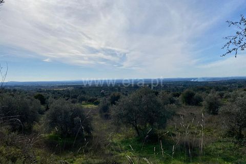 Landejendom i Fundao, Castelo Branco, Fundao - € 27.500 | Ref: 255250014 - foto 4