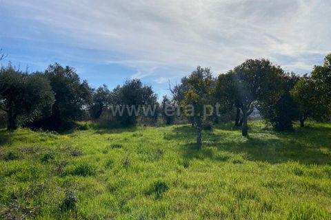 Landejendom i Fundao, Castelo Branco, Fundao - € 27.500 | Ref: 255250014 - foto 5