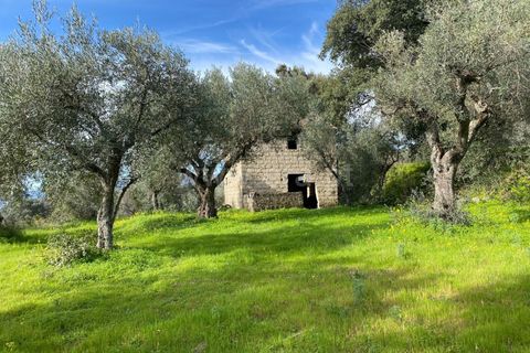 Landejendom i Fundao, Castelo Branco, Fundao - € 27.500 | Ref: 255250014 - foto 1