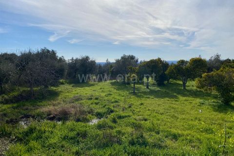 Landejendom i Fundao, Castelo Branco, Fundao - € 27.500 | Ref: 255250014 - foto 6