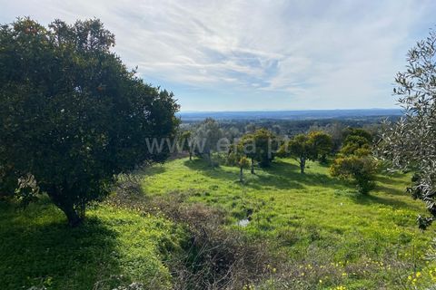 Landejendom i Fundao, Castelo Branco, Fundao - € 27.500 | Ref: 255250014 - foto 7
