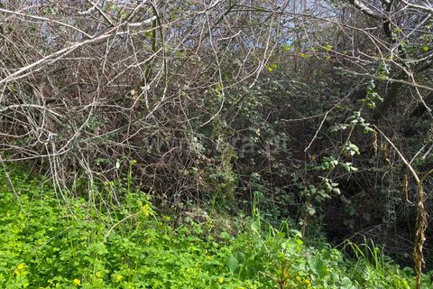 Landejendom i Fundao, Castelo Branco, Fundao - € 27.500 | Ref: 255250014 - foto 9