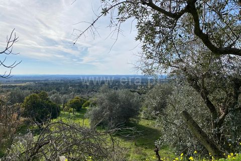 Landejendom i Fundao, Castelo Branco, Fundao - € 27.500 | Ref: 255250014 - foto 12