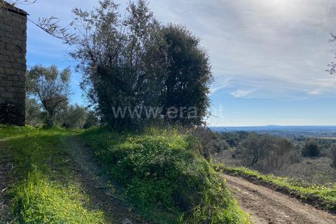 Landejendom i Fundao, Castelo Branco, Fundao - € 27.500 | Ref: 255250014 - foto 13