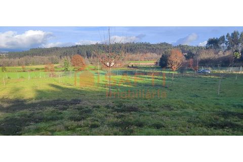 Helårsgrund i Ponte de Lima, Viana do Castelo, Ponte de Lima - € 159.500 | Ref: SAFTI:007284 - foto 3