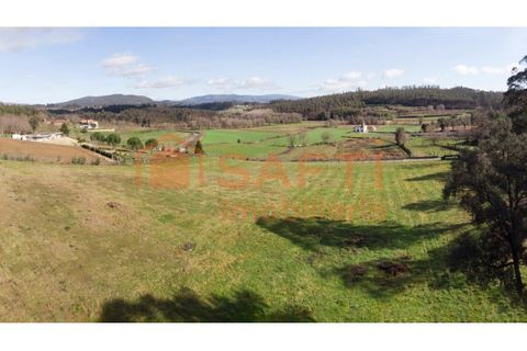 Helårsgrund i Ponte de Lima, Viana do Castelo, Ponte de Lima - € 159.500 | Ref: SAFTI:007284 - foto 5