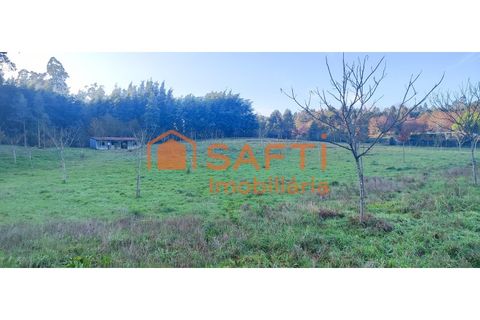 Helårsgrund i Ponte de Lima, Viana do Castelo, Ponte de Lima - € 159.500 | Ref: SAFTI:007284 - foto 9