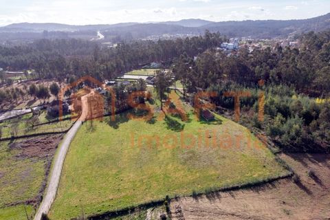 Helårsgrund i Ponte de Lima, Viana do Castelo, Ponte de Lima - € 159.500 | Ref: SAFTI:007284 - foto 10