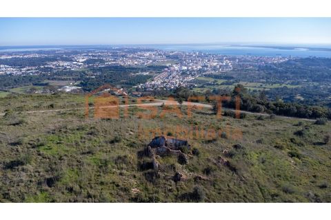 Helårsgrund i Palmela, Setubal, Palmela - € 1.900.000 | Ref: SAFTI:008425 - foto 2