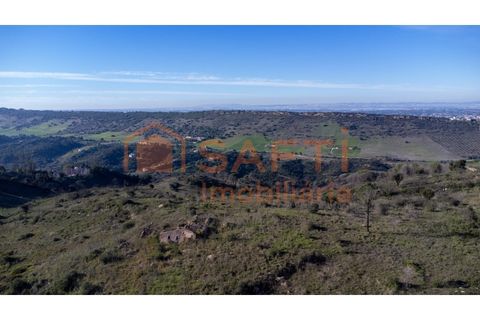 Helårsgrund i Palmela, Setubal, Palmela - € 1.900.000 | Ref: SAFTI:008425 - foto 3