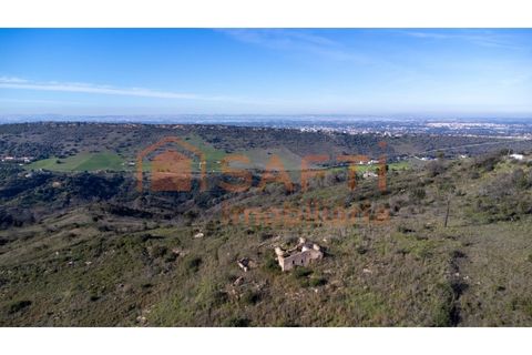 Helårsgrund i Palmela, Setubal, Palmela - € 1.900.000 | Ref: SAFTI:008425 - foto 4