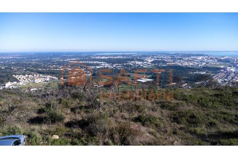 Helårsgrund i Palmela, Setubal, Palmela - € 1.900.000 | Ref: SAFTI:008425 - foto 5