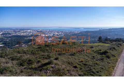 Helårsgrund i Palmela, Setubal, Palmela - € 1.900.000 | Ref: SAFTI:008425 - foto 6