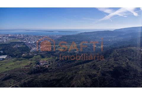 Helårsgrund i Palmela, Setubal, Palmela - € 1.900.000 | Ref: SAFTI:008425 - foto 7