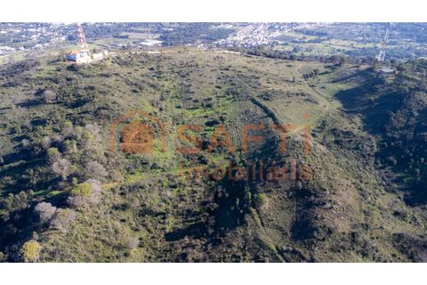 Helårsgrund i Palmela, Setubal, Palmela - € 1.900.000 | Ref: SAFTI:008425 - foto 8