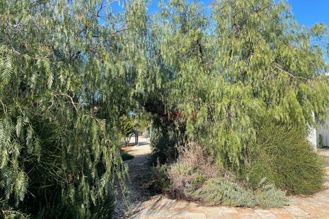 Villa i Ostuni, Brindisi, Ostuni - € 550.000 | Ref: 324 - foto 9