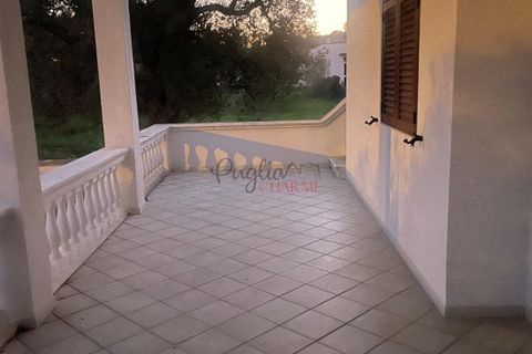 Landejendom i Ostuni, Brindisi, Ostuni - € 290.000 | Ref: 325 - foto 4