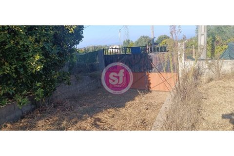 Tomt i Anadia, Aveiro, Anadia - € 39 000 | Ref: 010701047 - foto 3