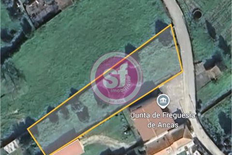 Tomt i Anadia, Aveiro, Anadia - € 39 000 | Ref: 010701047 - foto 7