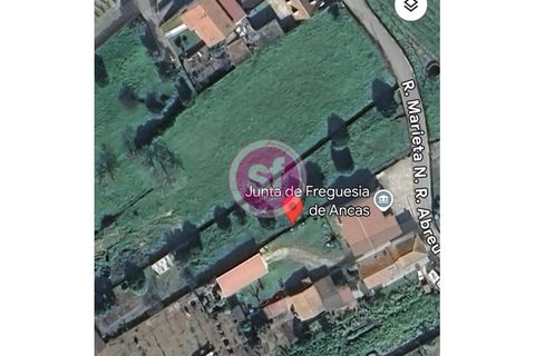 Tomt i Anadia, Aveiro, Anadia - € 39 000 | Ref: 010701047 - foto 8
