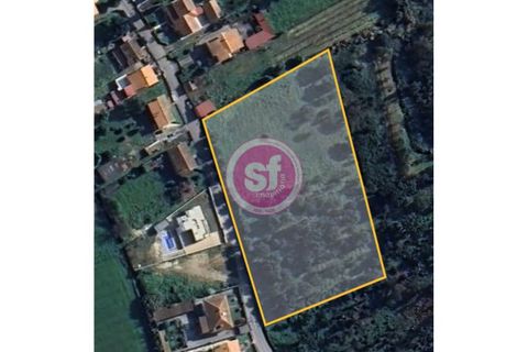 Helårsgrund i Anadia, Aveiro, Anadia - € 379.000 | Ref: 010101053 - foto 1