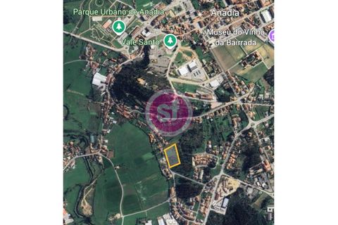 Helårsgrund i Anadia, Aveiro, Anadia - € 379.000 | Ref: 010101053 - foto 2