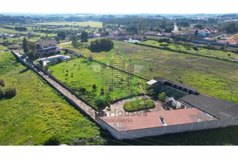 Villa a Entroncamento, Santarem, Entroncamento - € 625.000 | Ref: STAR_218 - foto 7