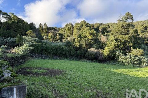 Byhus i Lajes do Pico, Pico, Lajes do Pico - € 89.000 | Ref: 134914 - foto 14