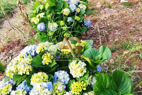 Villa i Calheta, Madeira, Calheta - € 295.000 | Ref: AG1218/2025 - foto 6