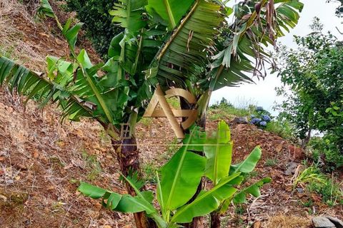 Villa i Calheta, Madeira, Calheta - € 295.000 | Ref: AG1218/2025 - foto 8