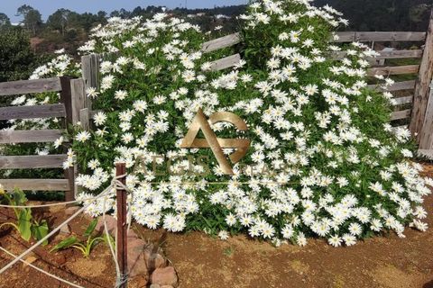 Villa i Calheta, Madeira, Calheta - € 295.000 | Ref: AG1218/2025 - foto 14