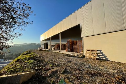 Bungalow i Ponte de Lima, Viana do Castelo, Ponte de Lima - € 520.000 | Ref: PTL-001-087 - foto 2