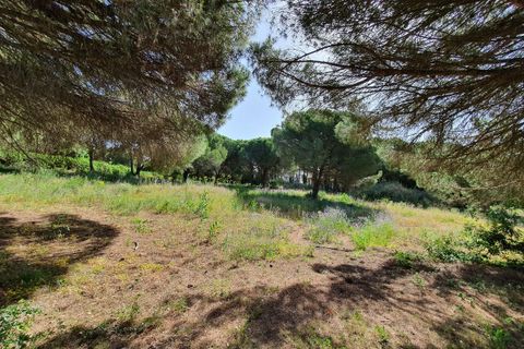 Helårsgrund i Sotogrande, Cadiz, Sotogrande - € 3.500.000 | Ref: R4875718 - foto 2