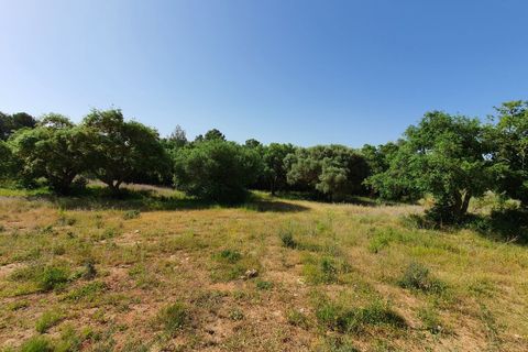 Helårsgrund i Sotogrande, Cadiz, Sotogrande - € 3.500.000 | Ref: R4875718 - foto 3
