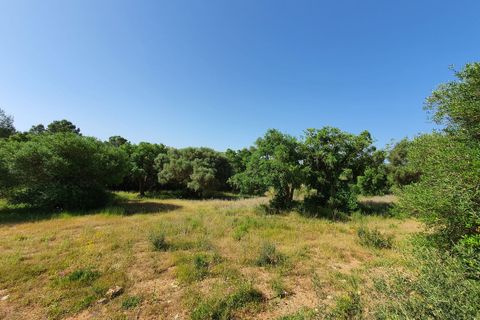 Helårsgrund i Sotogrande, Cadiz, Sotogrande - € 3.500.000 | Ref: R4875718 - foto 4