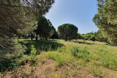 Helårsgrund i Sotogrande, Cadiz, Sotogrande - € 3.500.000 | Ref: R4875718 - foto 5