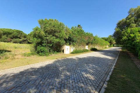Helårsgrund i Sotogrande, Cadiz, Sotogrande - € 3.500.000 | Ref: R4875718 - foto 6