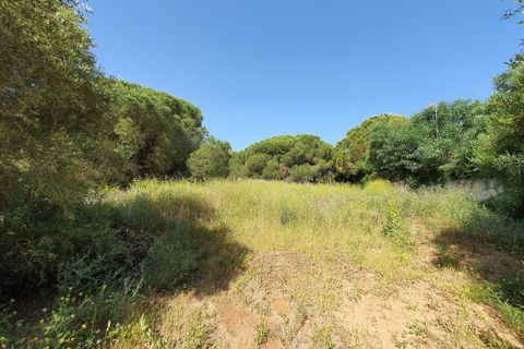 Helårsgrund i Sotogrande, Cadiz, Sotogrande - € 3.500.000 | Ref: R4875718 - foto 7