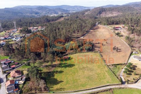 Helårsgrund i Ponte de Lima, Viana do Castelo, Ponte de Lima - € 263.000 | Ref: SAFTI:007285 - foto 3