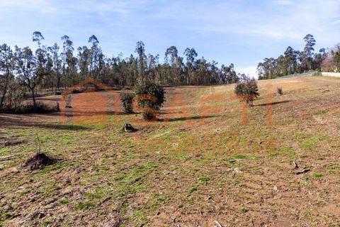Helårsgrund i Ponte de Lima, Viana do Castelo, Ponte de Lima - € 263.000 | Ref: SAFTI:007285 - foto 4