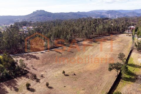 Helårsgrund i Ponte de Lima, Viana do Castelo, Ponte de Lima - € 263.000 | Ref: SAFTI:007285 - foto 5
