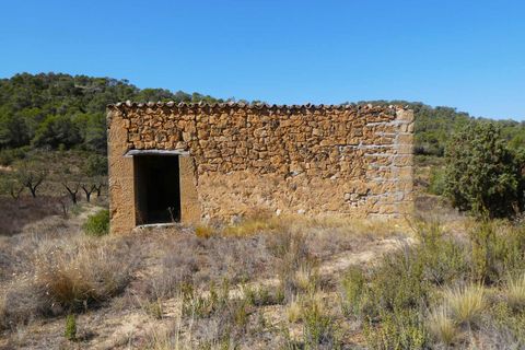Finca i Maella, Zaragoza, Maella - € 16.500 | Ref: 0959 - foto 7